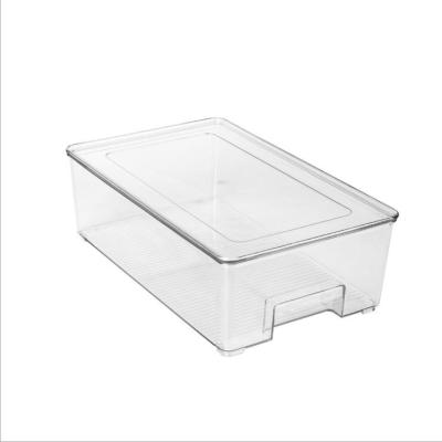 China Small Size Freshness Storage Box Kitchen Artifact Fridge Organizer PET Plastic for sale