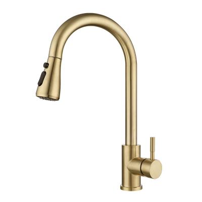 China Pull Out Spray Gold Kitchen Bathroom Faucet Shower Head Spray With Extend To Pull Out Kitchen Faucet Sink for sale