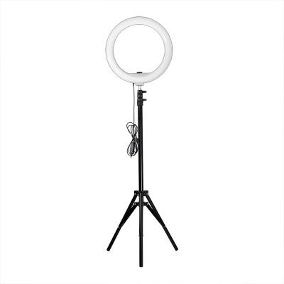 China Professional Makeup Beauty Shine Mini Tiktop Usb Mobile Phone Camera Photo Ring Light 3 In 1 Desk Lamp Led Selfie Ring Light For Phone for sale