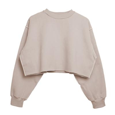 China New Fashion Anti-wrinkle Custom Cotton Polyester Women Plain Crop Training Hoodies for sale