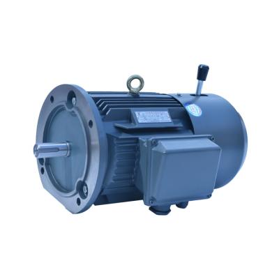 China IP44 Yej Series Large Horsepower Electric Motors Three Phase Asynchronous Cast Iron House for sale