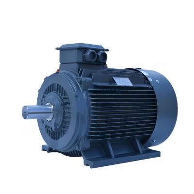 China IP55 Ye3 Series All Copper Wire Three Phase Induction Electric Motor 380V for sale