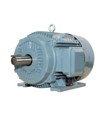 China Low Price IP54 High Quality Three Phase AC Induction Electric Motor 380V 50HZ / 60HZ for sale