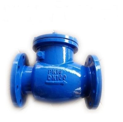 China Cast Iron NRV DIN General Brass Seated Non Return Swing Control Water Valve for sale