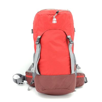 China 2020 Wholesale Fashion Design Factory Large Capacity Waterproof Men Backpack Outdoor Travel Backpack for sale