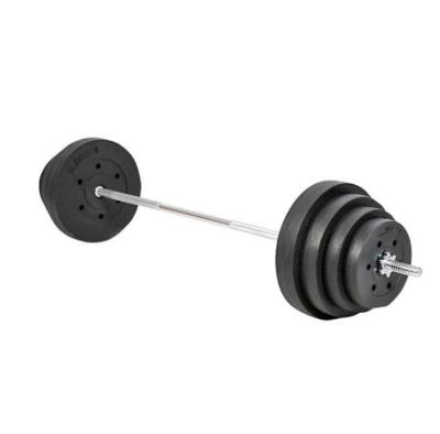 China Home Use Plastic Coated Dumbbell Cement Gym Weight Plates for sale