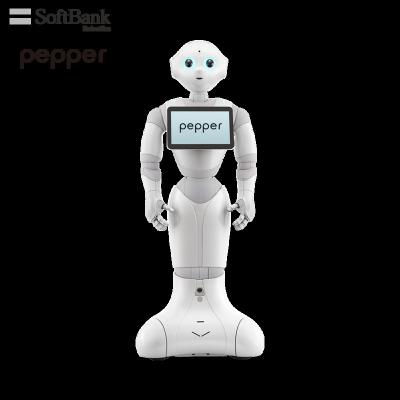 China Smart Wifi Softbank Robotic Pepper Humanoid Robot Receptionist Face Recognition Waiter Service Smart Programmable, Interactive for sale