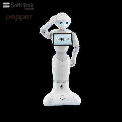 China Wifi Softbank Artificial Smart Robot Humanoid Interactive Smart Pepper, Standalone Welcome Reception Service, Brand Ambassador for sale