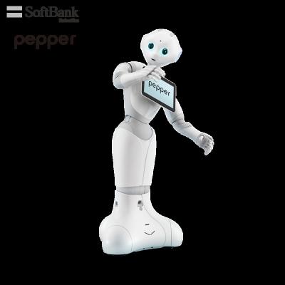 China Consultant Robot Pepper, Increase Store Traffic As Brand Ambassador, Wifi Softbank Smart Autonomous Humanoid Sales Communication for sale