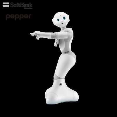 China Wifi Softbank Pepper Robotics School Camp Solution for K12 ROD Education and Research, Develop Hobbies by Coding Robots, AI Study for sale