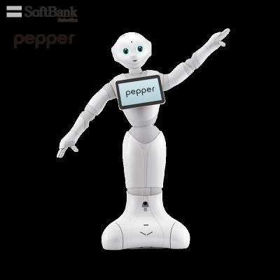 China Wifi Softbank Robotics Specialized AI Education Smart Teach And Learn Robot For Kids PULL BACK Navigation Teaching Autonomous Pepper for sale