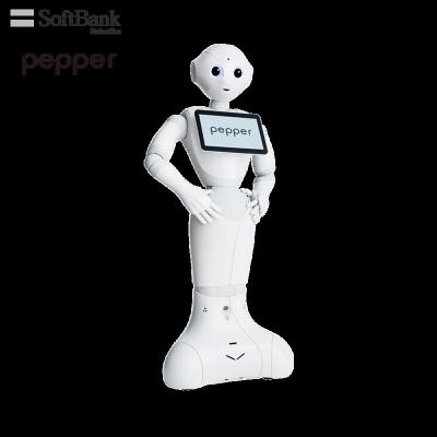 China Wifi Softbank Artificial Smart Robot Humanoid Interactive Smart Pepper, Standalone Welcome Reception Service, Brand Ambassador for sale