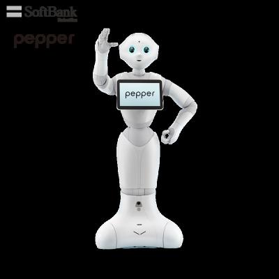 China Wifi Softbank Robotics Pepper, Educational Programmable Learning Toys/Tools for Student and Educator, Smart Robot for Teaching for sale