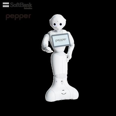 China Wifi Softbank Pepper Robotics School Camp Solution for K12 ROD Education and Research, Develop Hobbies by Coding Robots, AI Study for sale