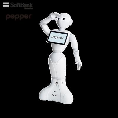 China Wifi Softbank Artificial Smart Robot Humanoid Interactive Smart Pepper, Standalone Welcome Reception Service, Brand Ambassador for sale