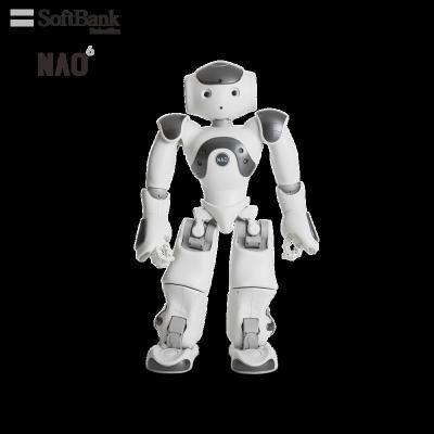 China Wifi Softbank Robotics NAO Smart Programmable Robots for Commercial Customized Solutions, Attract Customers, Advertising and Couponing for sale