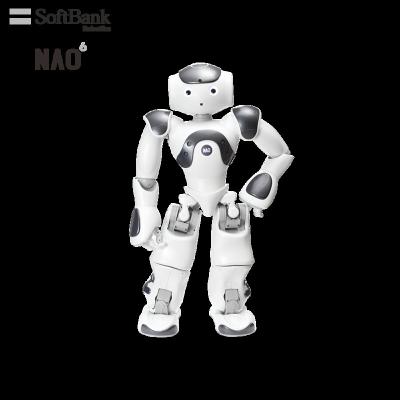 China Wifi Softbank Robotics NAO Smart Programmable Robots for Commercial Customized Solutions, Attract Customers, Advertising and Couponing for sale