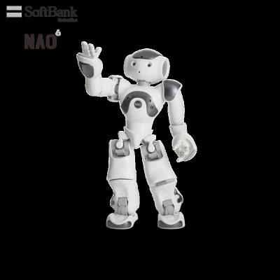 China Wifi Softbank NAO Robotics Humanoid Legged Educational Research Robot, STEM K12 Education Smart AI Robot Learning With Multi Function for sale