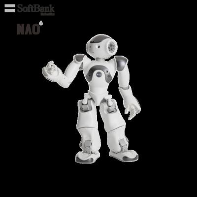 China Wifi Softbank Robotics Educational Smart Robots for STEM K12 and In-Deepth AI Learning Education, Humanoid Small Legged Robot for sale