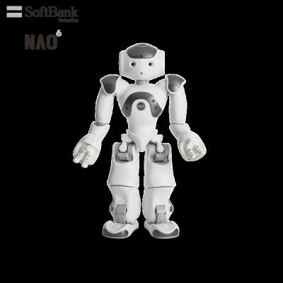 China Wifi Softbank Robotics Educational Smart Robots for STEM K12 and In-Deepth AI Learning Education, Humanoid Small Legged Robot for sale