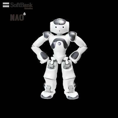 China Wifi Softbank Robotics Smart Progrommable Humanoid Legs National Orderly For Global Activities Robocup, Official Standard Robot Platform for sale