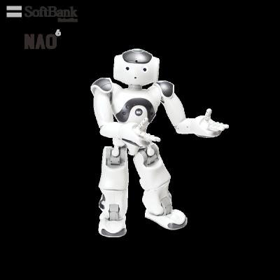 China Wifi Softbank Robotics NAO Legged Humanoid Robot Official Standard Platform For Global Robocup Activities for sale