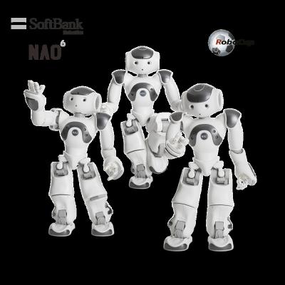 China NAO 2022, Platform Standard League, Wifi Softbank Robotics RoboCup Soccer Smart Robot Humanoid Programmable 3 Pack for sale