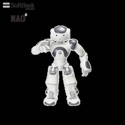 China Wifi Softbank Official Programmable Standard Robotics SBR Cup Platform, Autonomous Learning Smart Legged Humanoid Football Robot NAO for sale