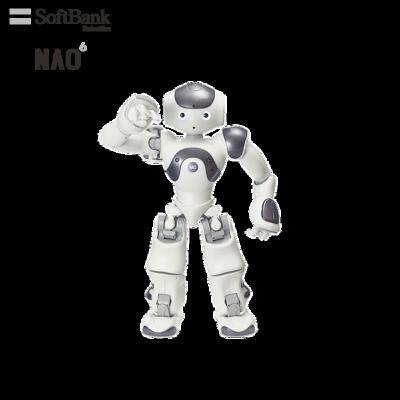 China Wifi Softbank Robotics Educational Smart Robots for STEM K12 and In-Deepth AI Learning Education, Humanoid Small Legged Robot for sale