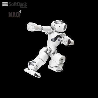 China Wifi Softbank Intelligent Interactive Maintenance Robot Robotics Voice Navigation Humanlike Guidance, Information and Guided Robot, Leg NAO for sale