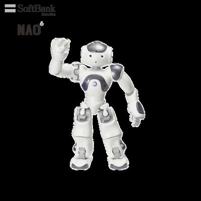 China Wifi Softbank Humanoid Robot National Orderly, Open Platform AI Research for Education, University, Science Lab, Programmable Rootable System for sale