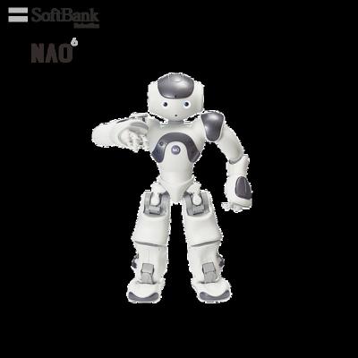 China Wifi Softbank Robotics NAO, Retail Smart Robot, Programmable AI Attract Front Desk Customer Service Multi-Linguistic Brand Ambassador for sale