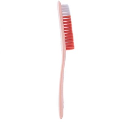 China All Natural Shoe Laundry Hot Sale Wholesale High Quality Washing Cleaning Brush for sale