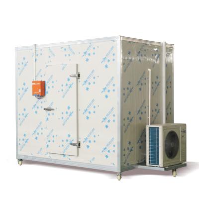 China Container Cold Room Storage Walk In Freezer For Meat Vegetable for sale