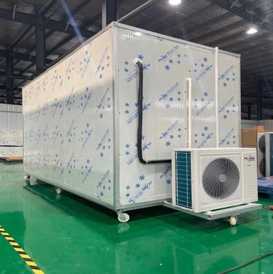 China Container FLAND Factory Price Freezer Room Cold Storage for sale