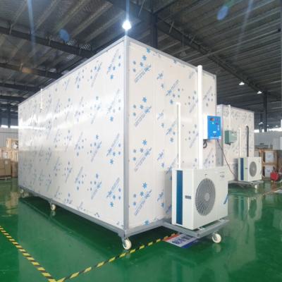 China Container Beef Freezer Cold Room Sea Fish Products Cold Room Storage Fish Cold Storage for sale