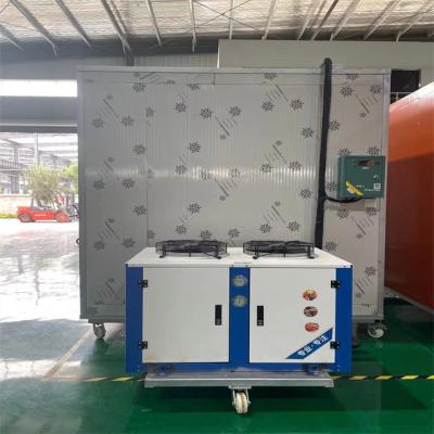 China Container Walk In Freezers For Poultry, Chicken And Meat Cold Storage For Argentina Market for sale