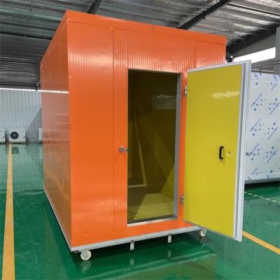 China Container Freezer Room Fruit Vegetable Cold Storage Meat Cold Room Container Customized Fish Walk In Cooler for sale