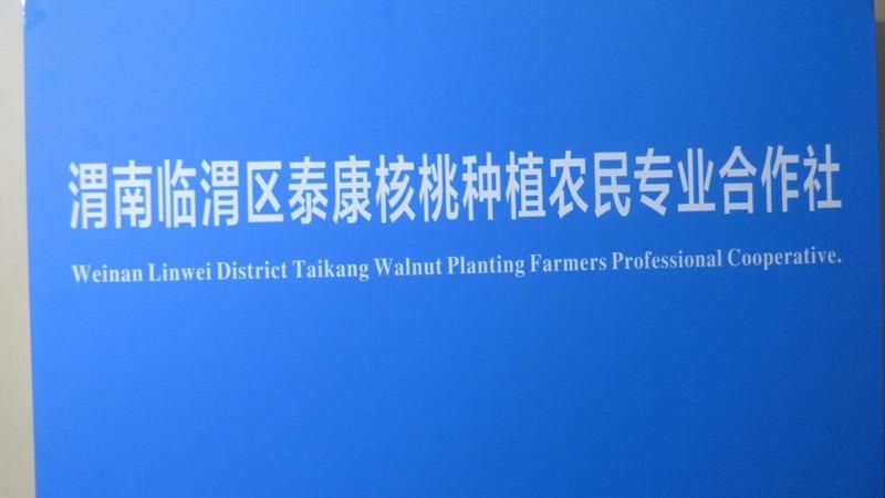 Verified China supplier - Weinan Linwei District Taikang Walnut Planting Farmers Professional Cooperative