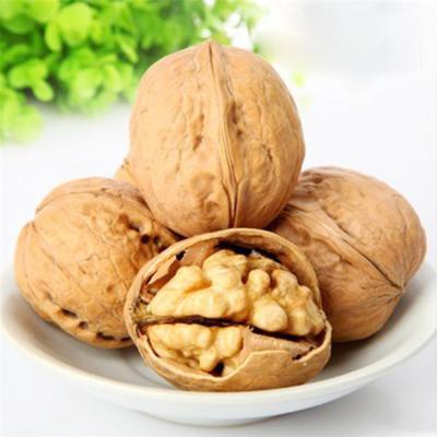 China Organic Fresh Plant Wholesale Walnut Kernel Shelled Walnuts Natural Dried Raw Nutritious 100% Natural Grade 30mm+ for sale