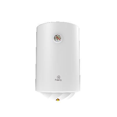 China Household Factory Sales 30L 50L 80L 100L Enamel Tank Electric Water Heater for sale