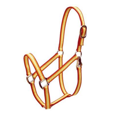 China Eco - Friendly Heat Welded No Tear Holes Graduated Premium Halter For Big Horses for sale