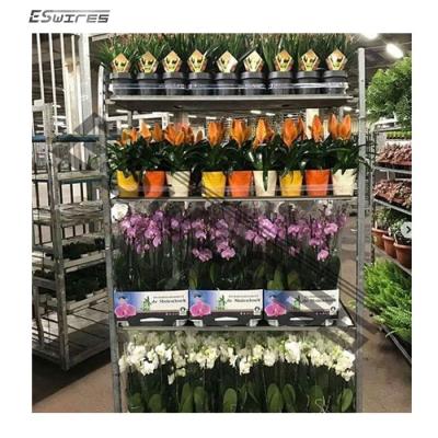 China Foldable Outdoor Flower Nursery Plant Galvanized Steel Plant Transport Carts for sale