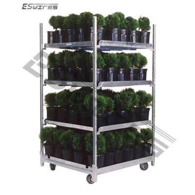 China Foldable Hot Dip Galvanized Nursery Plant Flower Transport Cart Danish for sale