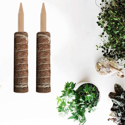 China Modern Coir Extension Pole Coconut Coir Plants Stick Maintain Humidity Garden Frame for sale