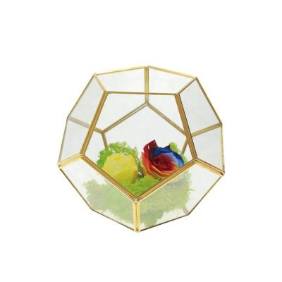 China Modern new design spherical geometric glass mini succulent greenhouse with copper frame for decoration for sale