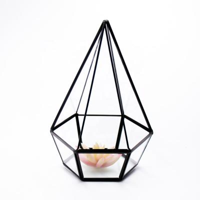 China Modern Faceted Glass Mini Greenhouse Geometric Black Metal Brass Mini Greenhouse For Home Decoration for sale