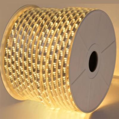 China 2 Years - Flexible LED Strip Light - PCB 10MM - LED Type Flexible Light Strip for sale