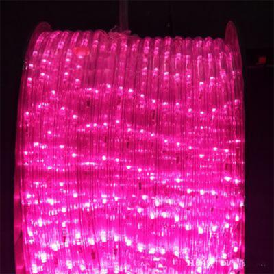 China Versatile 240V/230V/110V/220V RGB 5050 Smart LED Strip Lights Plastic Body Color Change Light Strings for Landscape for sale