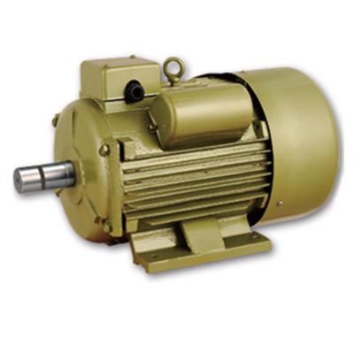 China YCL-90L-2 single phase AC drip-proof electric motor for sale